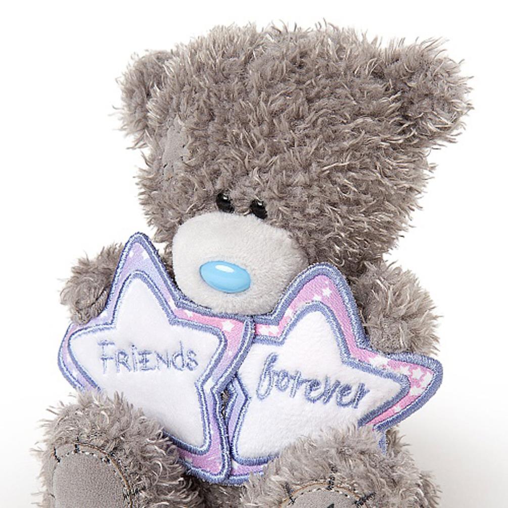 5" Friends Forever Stars Me to You Bear Extra Image 1